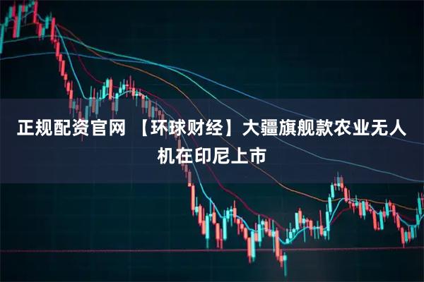 正规配资官网 【环球财经】大疆旗舰款农业无人机在印尼上市